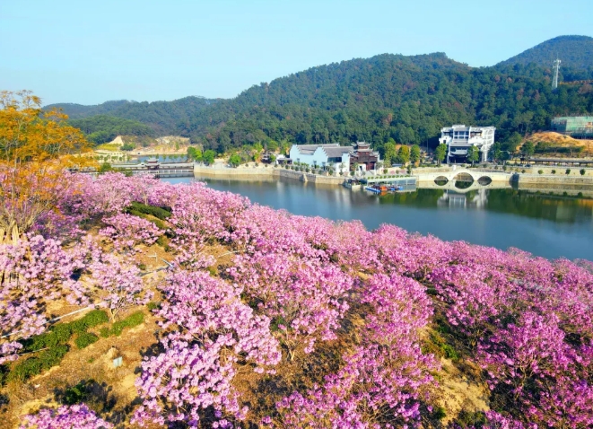 鴻業(yè)集團鴻園花海歡迎您！